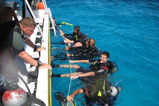 Punta Cana Reef Diving Adventure Explore Underwater Wonders - Evaluating the Experience: Value and Practicalities