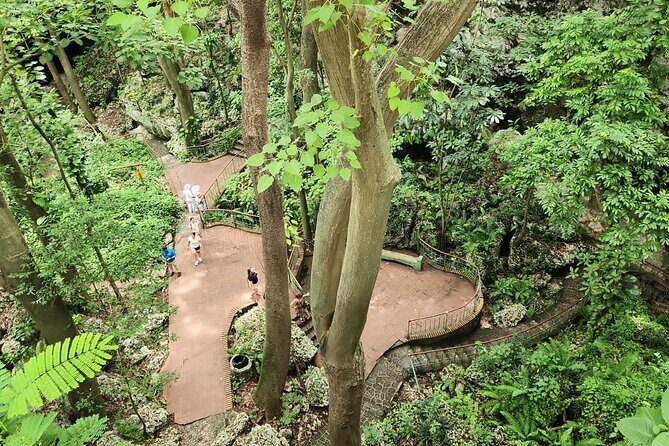 Punta Cana Santo Domingo - Who Will Love This Tour?