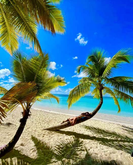 Punta Cana: Saona Island Exclusive Private Beach, Open Bar & Premium Lunch - What Makes This Tour Stand Out?