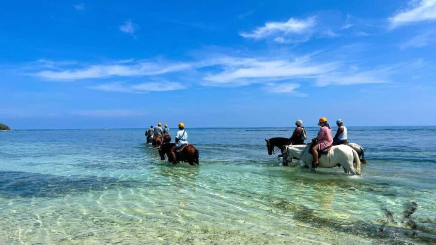 Punta Cana: Uvero Alto Beach Horseback Riding Tour - Exploring the Tour Details