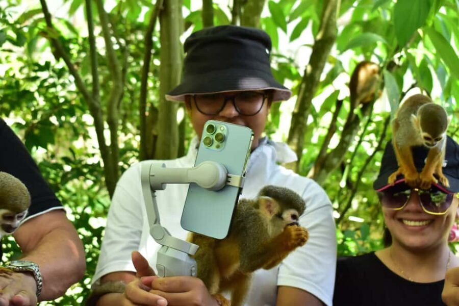 Punta Cana: Zip Line, Monkeyland, & Coconut House Tour - Evaluating the Value