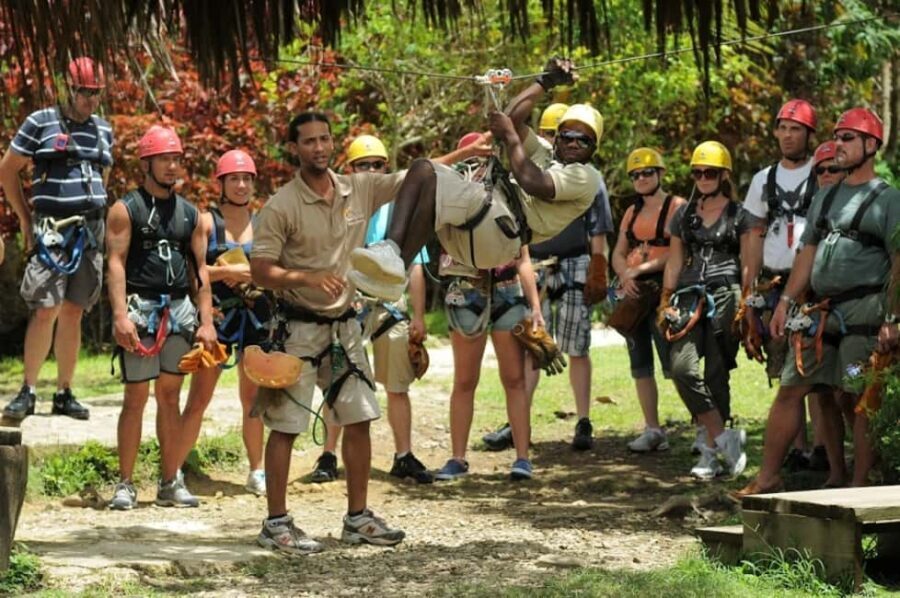 Punta Cana: Zip-Lining 12 Cables - The Heart of the Experience: The Zip Lines