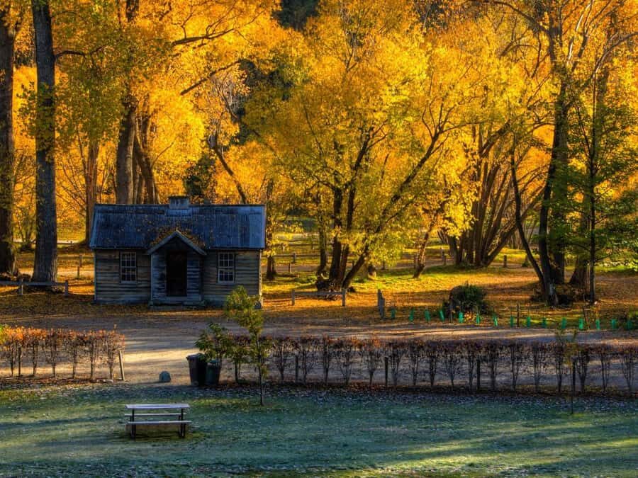 Queenstown: Highlights Tour with Wine Tasting - In-Depth Breakdown of the Itinerary