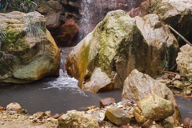 Rainforest Waterfall Adventure - An In-Depth Look at the Tour