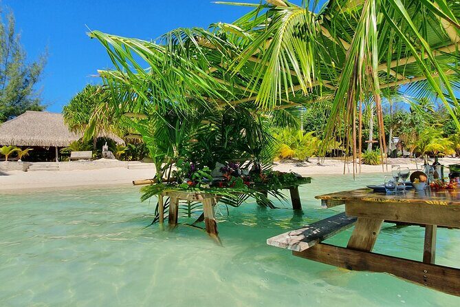 Reef Discovery Luxury Water Lunch Cruise - Who Will Love This Tour?