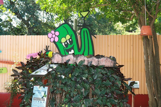 Rincon Visit with Local Guide - Transport, Timing, and Price