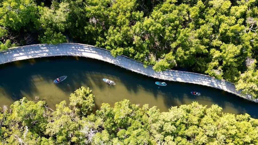 Robinson Preserve: Clear Kayak Ecotour - Practical Details: What You Need to Know