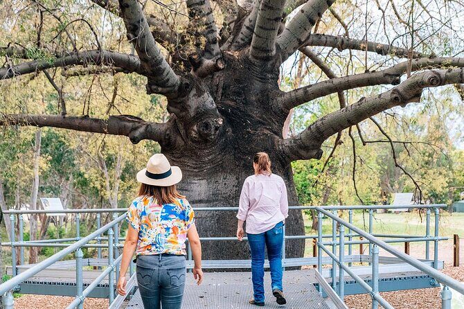 Roma Revelation Tour Experience - Why This Tour Works