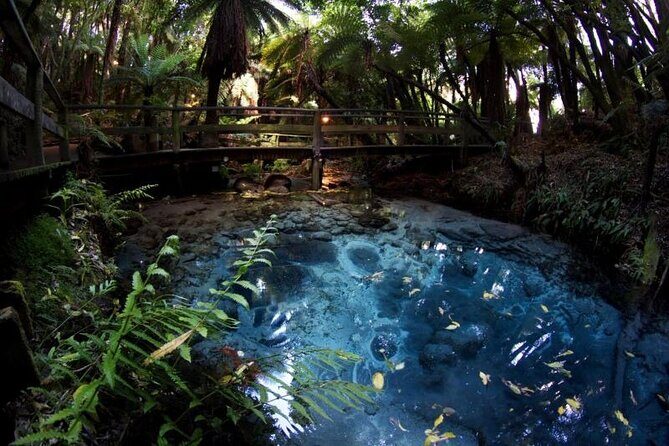 Rotorua Cultural & Geothermal Small Group Tour From Auckland - Who Will Appreciate This Tour?