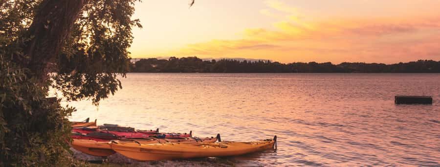 Rotorua: Evening Starlight Gourmet Kayak Tour with dinner - Practical Details and What to Expect