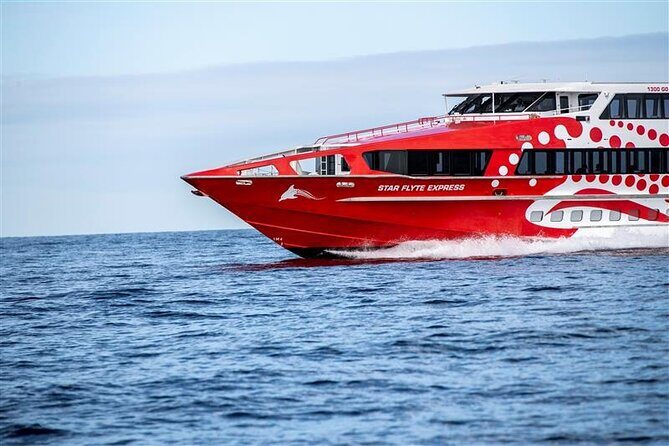 Rottnest Island Round Trip Ferry from Fremantle - Practical Tips for a Smooth Trip