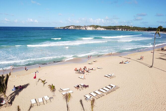 Safari and Higuey Church from Punta Cana - What Do the Reviews Say?