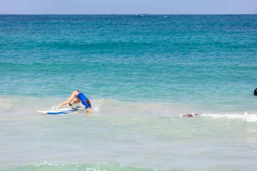 Safari Half Day from Punta Cana - What to Expect from the Tour