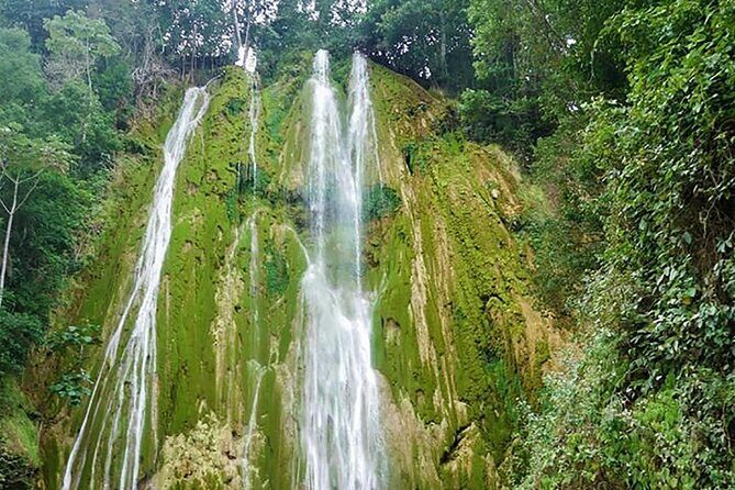 Samaná, Cayo Lemon Waterfall from Punta Cana - Authenticity and Value