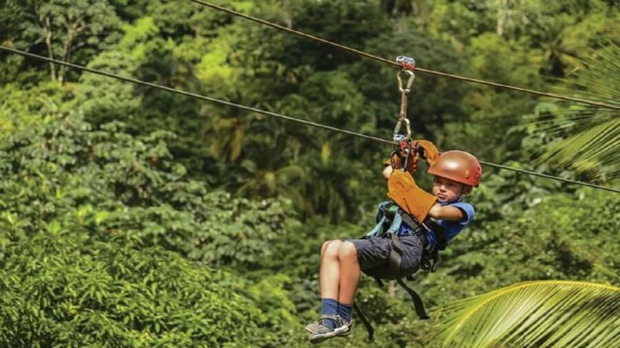 Samaná: El Limón Zipline Adventure with 10 Cables - The Value of This Adventure