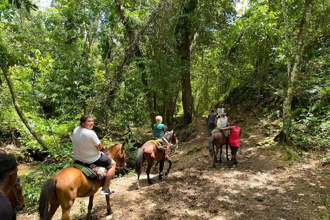Samana full day, Risen Key, Horses, Lemon waterfall - Practical Details and Tips