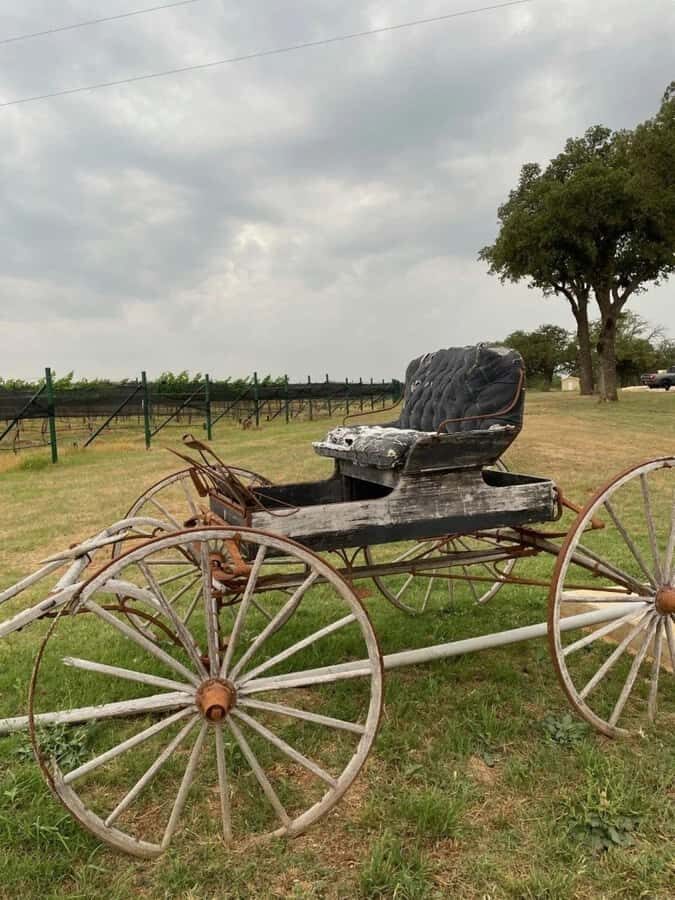 San Antonio: Hill Country Wine Tour & Fredericksburg Visit - What Makes This Tour Stand Out?