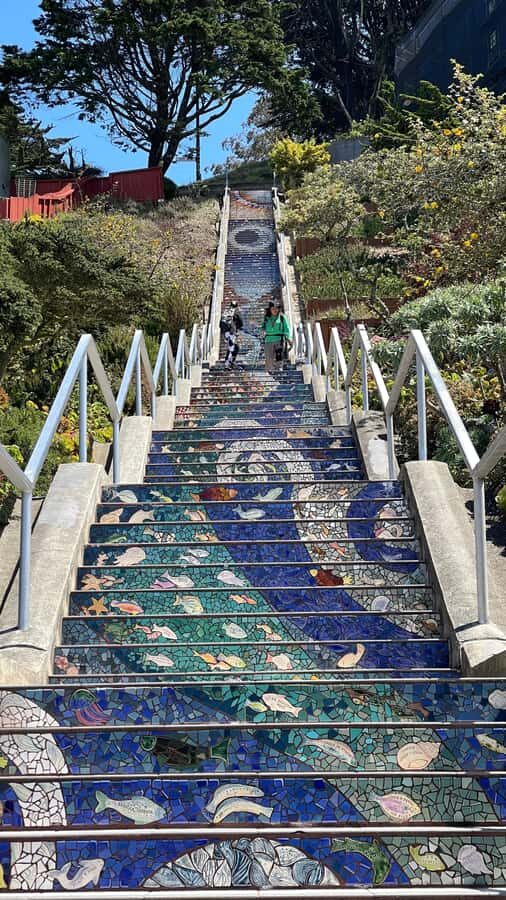 San Francisco: Hidden Stairways & Scenic Views Walking Tour - Practical Details and What to Expect