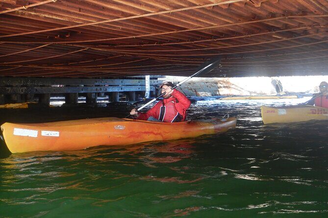 San Francisco Kayak Trip- 1 Hour - Practical Details and Tips for Your Trip