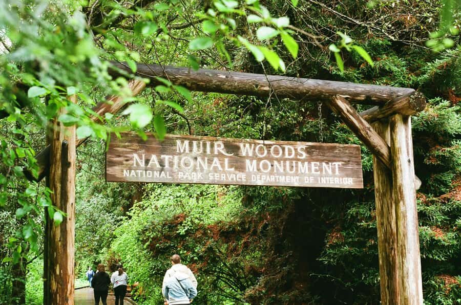 San Francisco: Muir Woods, Sausalito, & Battery Spencer Tour - What’s Included, What’s Not