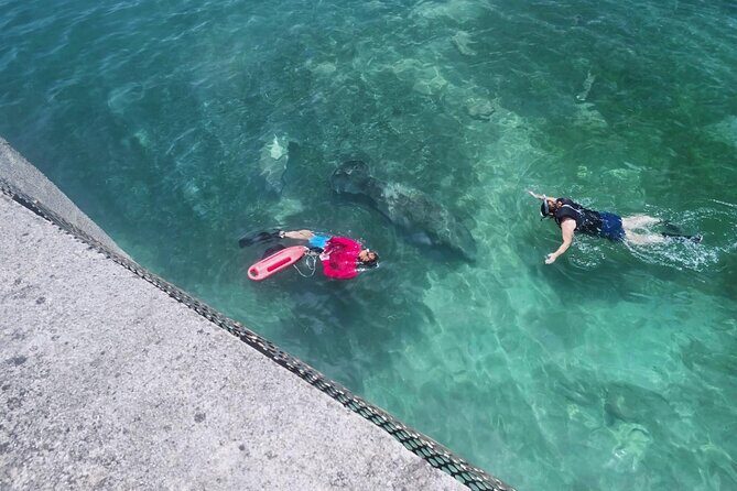 San Juan Snorkel with Turtles and Manatee's; Free Video and Rum! - Practical Tips for Participants