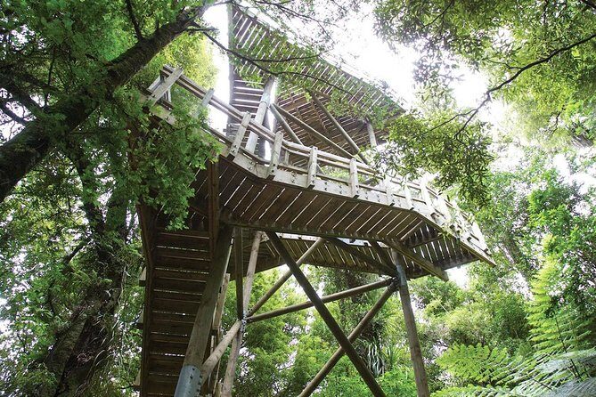 Sanctuary Mountain (Mt Maungatautari) & Hamilton Gardens Day trip from Auckland - Sanctuary Mountain (Mt Maungatautari): The Ecological Marvel