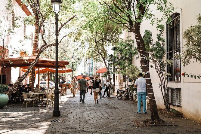 Santo Domingo History Culture and Natural from Punta Cana - Practical Considerations and Tips