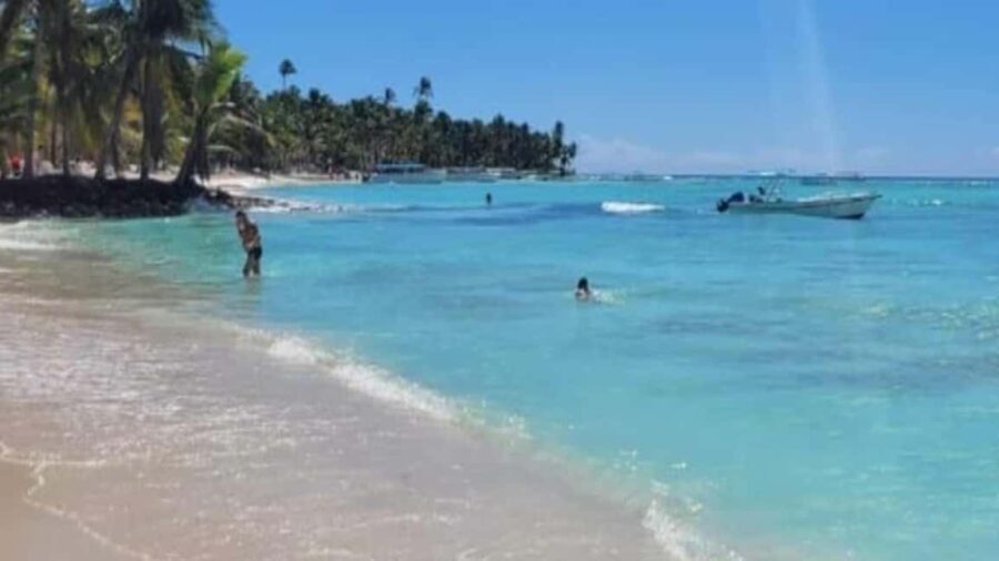 Santo Domingo: Isla Saona Day Trip with Lunch & Drinks - The Beach and Water Activities