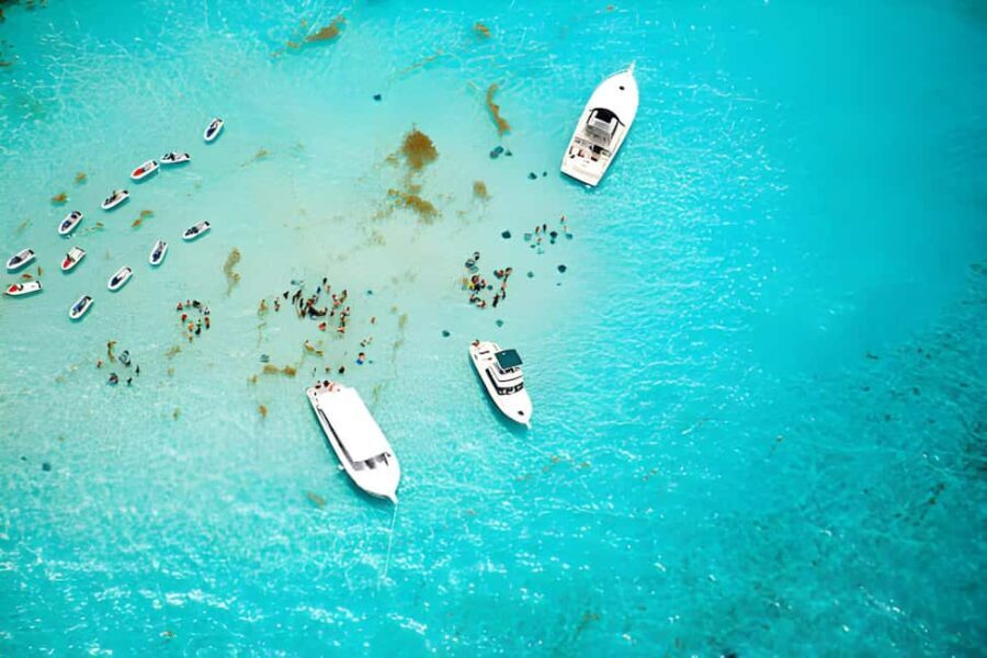 Saona Island Day Tour from Punta Cana with Lunch & Open Bar - What Travelers Love and What to Consider