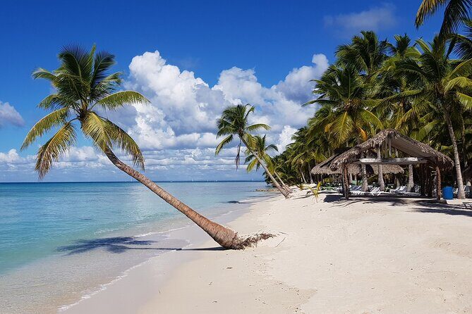 Saona Island Full-Day Tour from Santo Domingo - Authentic Experiences and Practical Details