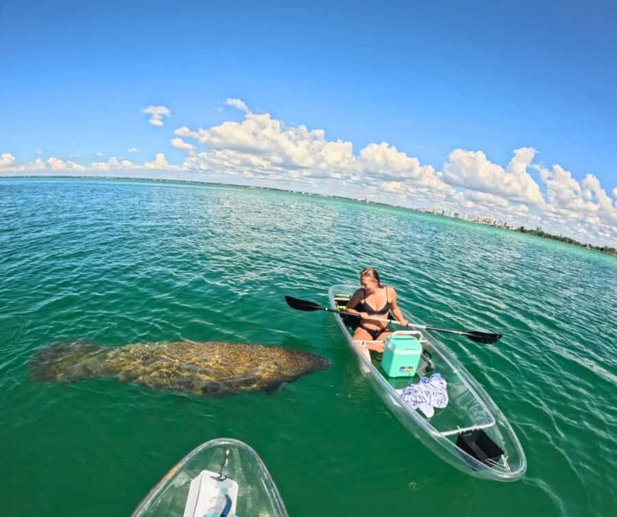 Sarasota: Clear Kayak Mangrove Tunnel & Beach Hopping Tour - Summary: Who Should Consider This Tour?