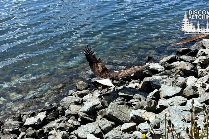 Saxman Native Village & Ketchikan City Tour - Scenic Drive and Downtown Highlights: Ketchikan’s Historic Charm