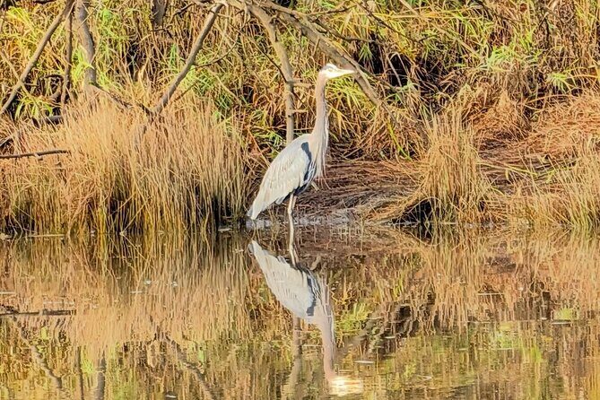 Scappoose Bay Kayak Adventure Private tour - What to Expect from the Watercraft Options