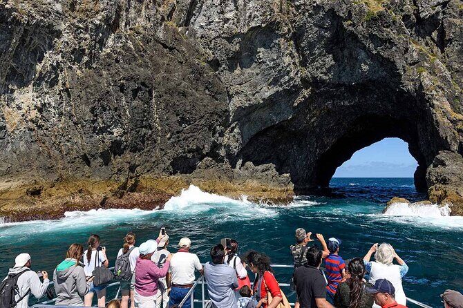 Scenic Bay of Islands Escape: Private Full-Day Tour from Auckland - Transport, Comfort, and Value
