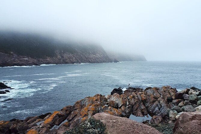 Scenic Bus Tour of the Northeast Avalon from St. John's - Practical Details and What to Expect