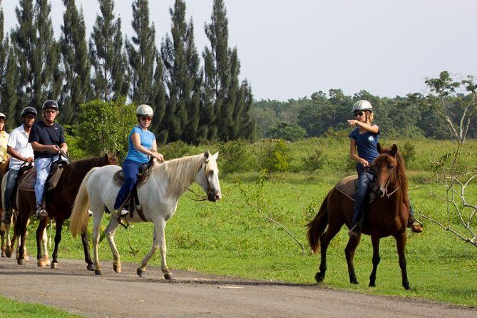 Scenic Horseback Riding Tour from San Juan - Mid-Ride Break and Wildlife Spotting