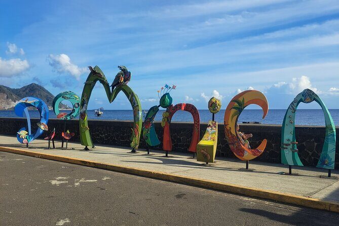 Scenic Tour of City and Rainforest, Waterfall, Sulphur Springs . - What’s Included and What To Budget For