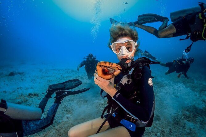 Scuba Certified Diving Immersion at Maroma Beach (1 or 2 tanks) - Authentic Feedback from Divers