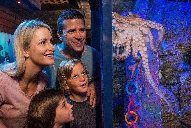 SEA LIFE Sunshine Coast Aquarium Entrance Ticket - The Interactive Dory Exhibit and Other Features