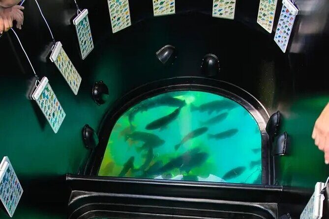 Sea View Glass Bottom Boat Excursion - The Ride and Its Highlights