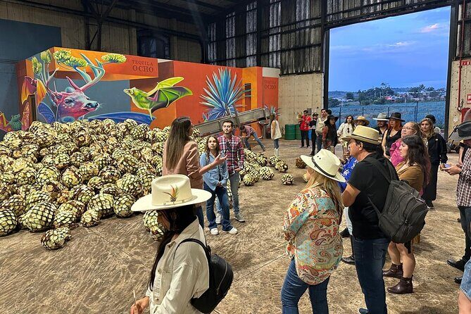 Secrets in Los Altos del Tequila - The Villages and Sacred Spaces