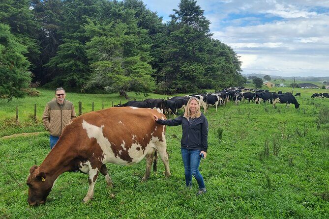 Sheep & Beef Working Farm Private Tour - Transport, Timing, and Group Size