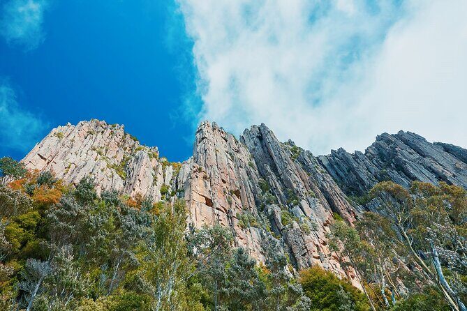 Shore Excursion-Hobart Wanderer - The Itinerary Breakdown