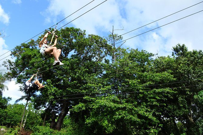 Shore Excursion: Zip Line Adventure - What’s Included and What’s Not