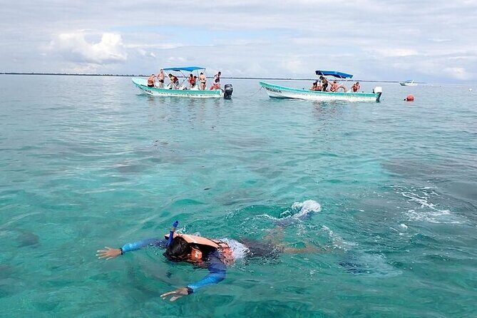 Sian Kaan Biosphere Reserve Tour from Playa del Carmen - The Practical Details: Transport, Cost, and Accessibility