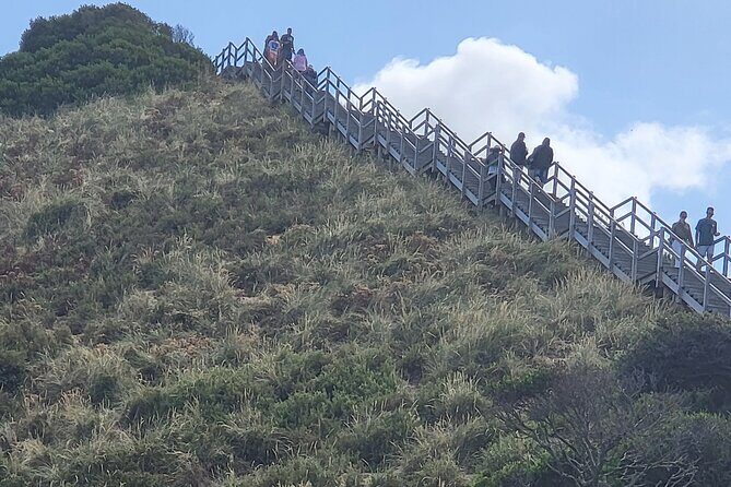 Signature Bruny Island Tour - Hobart & SE Tasmania - What Travelers Say