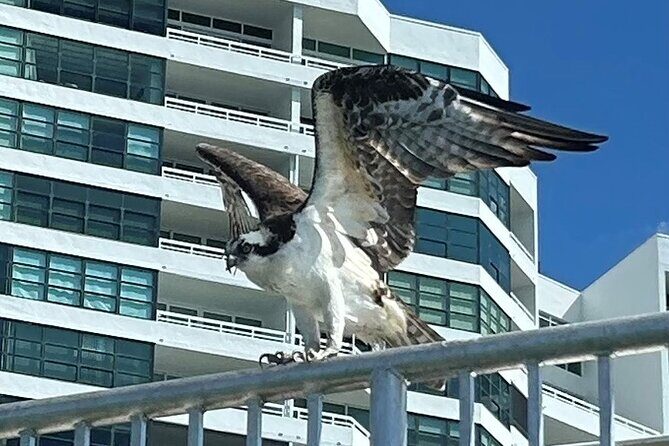 Single Kayak Rentals at The Bay - The Meeting Point and Logistics