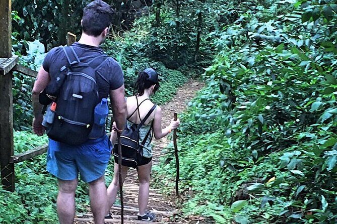 Small-Group Adventure Trek in Grand Etang National Park - Practical Details and Considerations