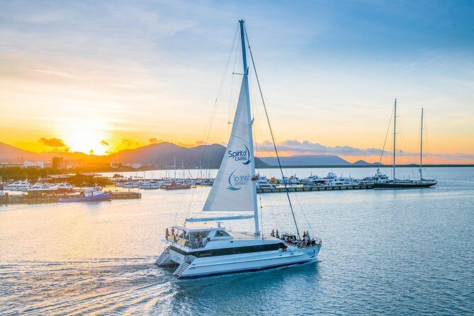 Small-Group Afternoon Cairns City Tour with Harbour Dinner Cruise - The Itinerary in Detail