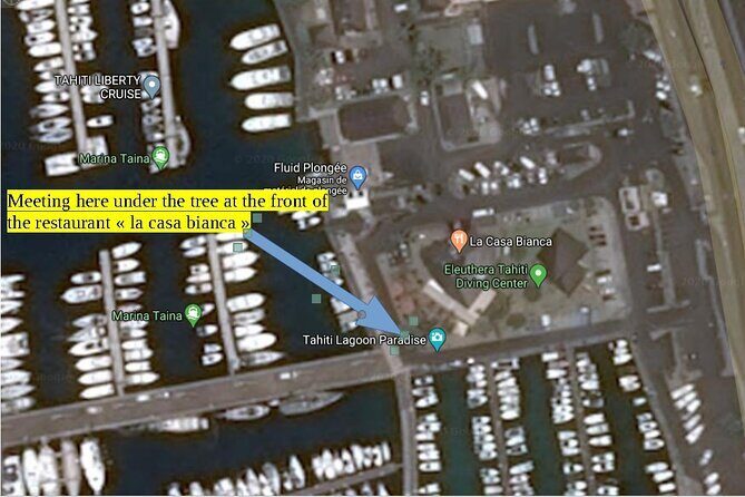 Small group snorkeling (5 people max): wrecks & tropical fishes at 10:30am - Group Size and Atmosphere